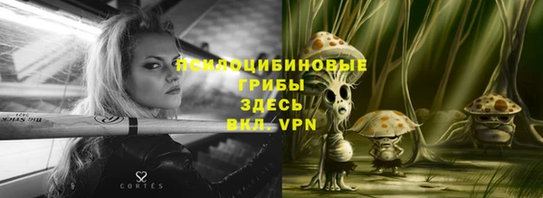 спайс Медвежьегорск