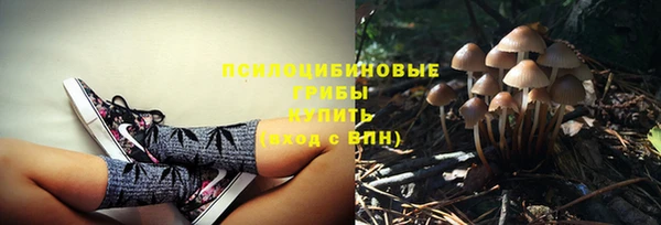 спайс Медвежьегорск