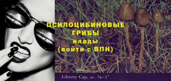 прущая мука Михайловск