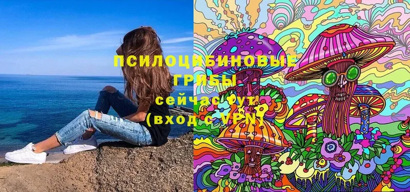 где найти   Киров  Псилоцибиновые грибы Magic Shrooms 