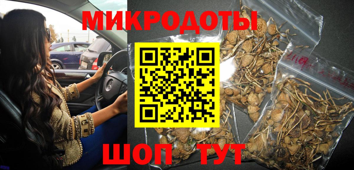 Галлюциногенные грибы GOLDEN TEACHER Киров