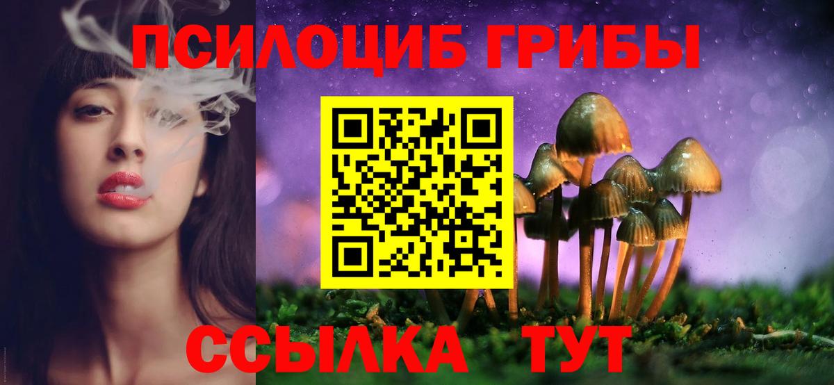 Галлюциногенные грибы Psilocybine cubensis  Вход с VPN  Киров 